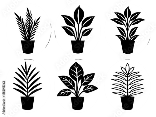 Six stylized black silhouettes of potted houseplants in white ovals