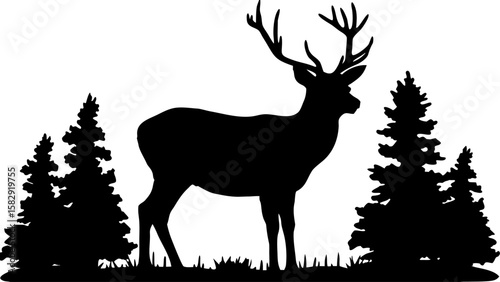 Silhouette of a majestic deer standing in a forest clearing surrounded by evergreen trees in nature view