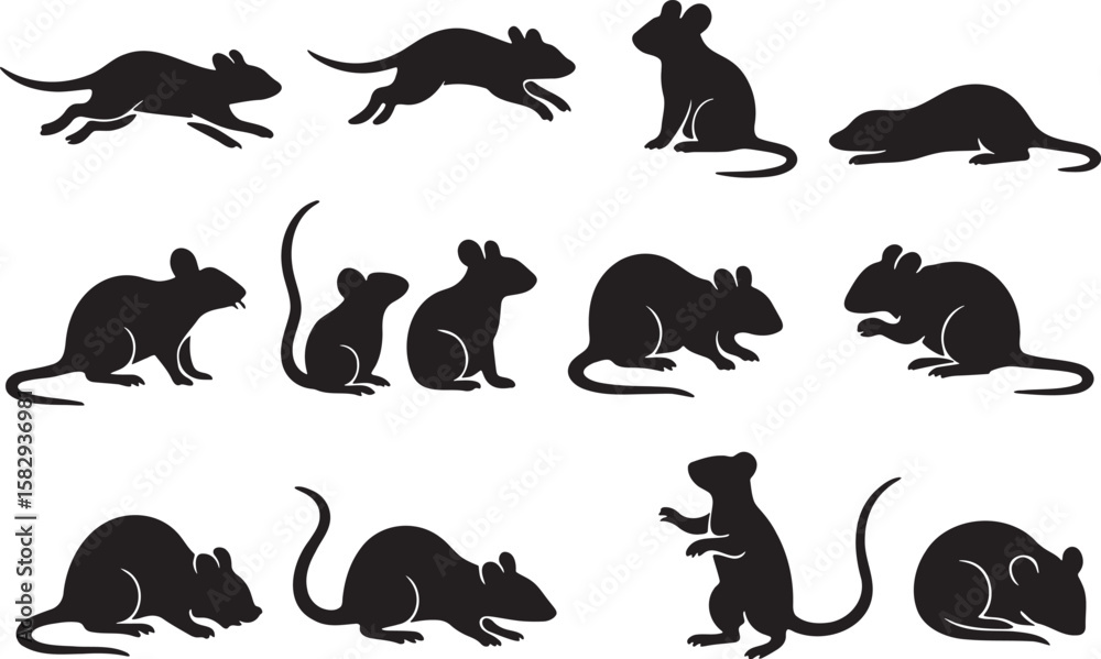 Obraz premium Black rodent silhouettes various poses animal white