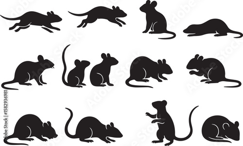 Black rodent silhouettes various poses animal white