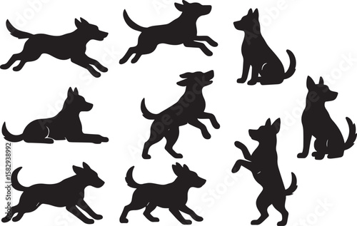 Canine companions active playful poses animal silhouette