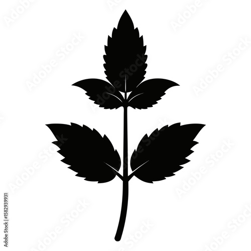 Nettle flower vector silhouette