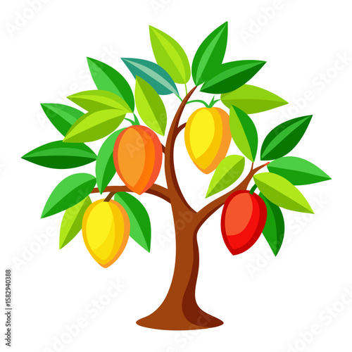 Mango tree Colorful Vector illustration on white background