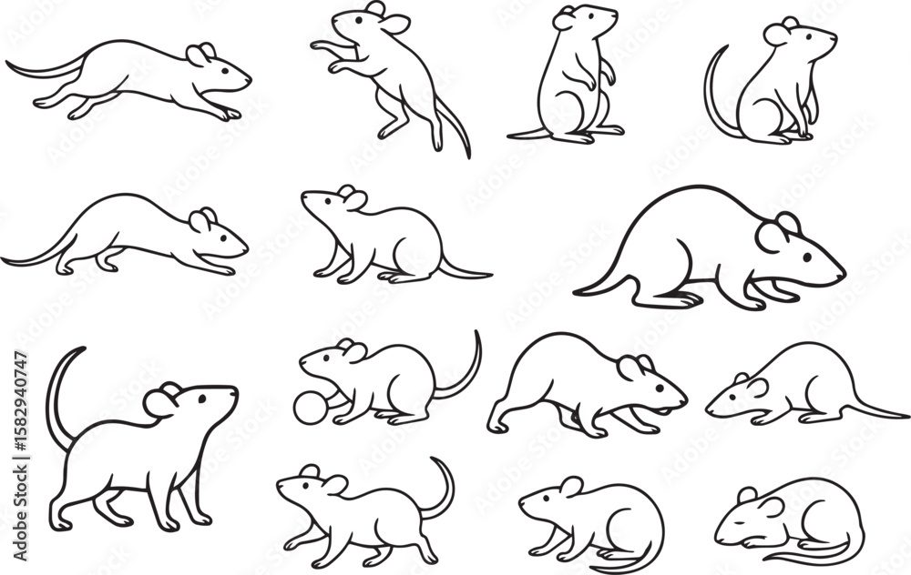 Fototapeta premium Diverse rat poses collection rodent animal