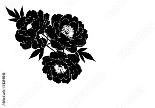 Black and white peony flower arrangement with detailed petals and leaves. This peony flower composition adds elegance to any project with its timeless design and versatile appeal.