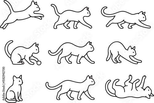 Feline figures playful poses active resting animal