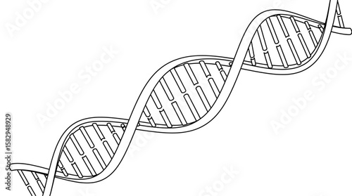 DNA Helix Outline Biology and Genetic Structure Illustration (asd (81).eps reference)