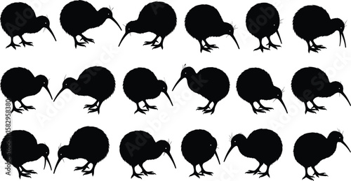 Kiwi bird silhouette collection, flightless bird vector set, New Zealand animal clipart, wildlife graphic icons, black kiwi illustration