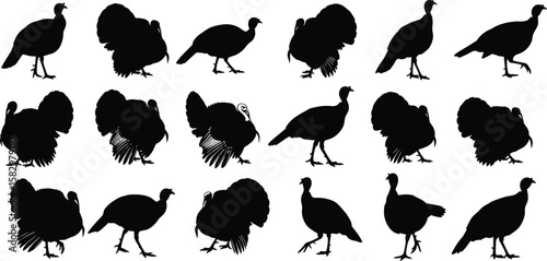 Turkey bird silhouette collection, wild fowl vector illustrations, Thanksgiving animal icons, domestic turkey clipart, poultry bird isolated graphic