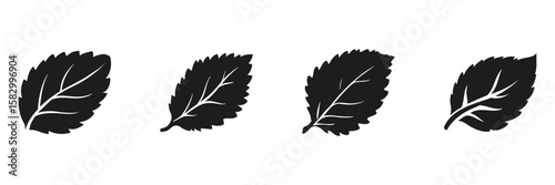 Silhouette Of Mint Leaves Set. Nature And Herbal Design Elements Collection. Isolated Vector Illustration