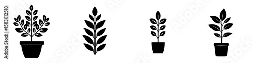 Black plant icons representing different growth stages in a minimalistic design suitable for various graphic projects