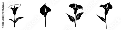 Unique black icons of calla lily flowers showcasing different angles and stages of bloom in a minimalist style