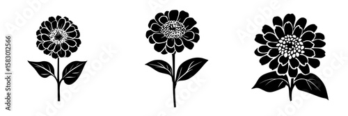 Black floral icons depicting zinnia flowers with detailed petals and leaves on a white background showcasing simplicity and elegance
