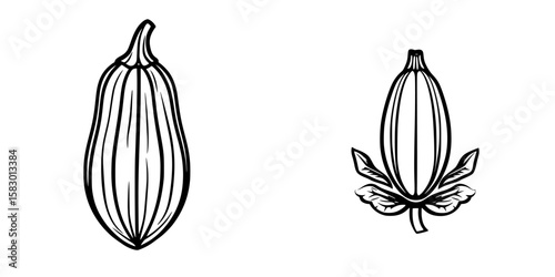 Black icon representing a plant with elongated seed and leaves, suitable for botanical purpose or decorative use in minimalist design