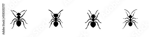Collection of four black ant icons showcasing different angles and poses of the insect designed for graphic use