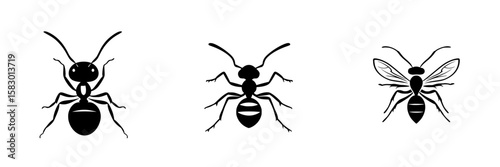 Illustration featuring three distinct styles of black ants on a simple white background