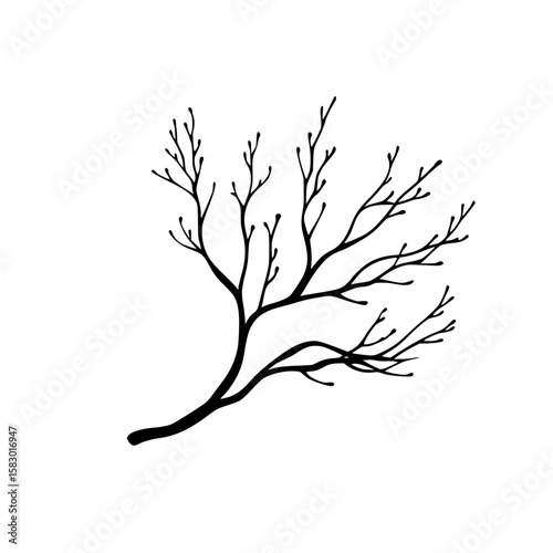 Intricate black icon depicting a branch with delicate twigs and leaves for nature-themed designs and projects