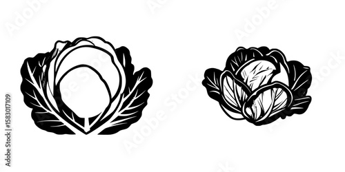 Illustration of black cabbage icons featuring two different types of cabbages with distinct shapes and leaf designs
