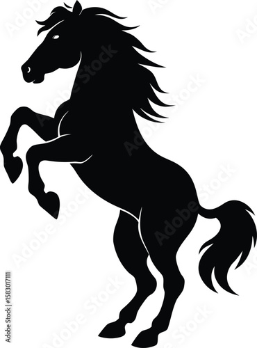 Wild Horse Rearing Up on Hind Legs Dramatic Black Silhouette Against White Background
