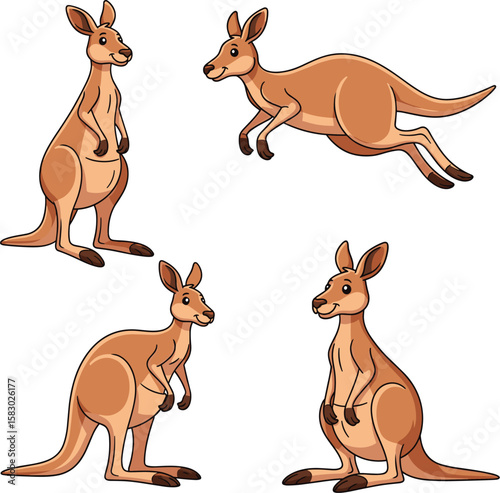Cartoon kangaroos pose in various positions. Cute illustration of marsupials for children's books and educational materials.