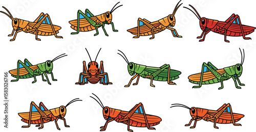 Colorful grasshoppers gather on blue background. Entomology, cartoon insects, animal wildlife, pest control