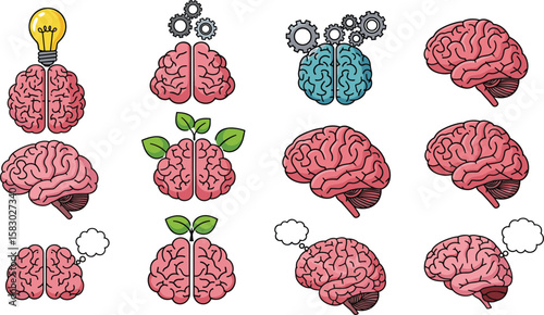 Brains with gears, leaves, and lightbulb represent cognitive function. Mental processes, ideas, intellect, thought, consciousness, memory