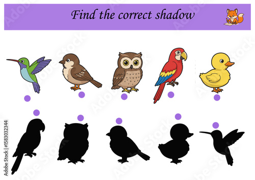 Cartoon birds with their shadows in a matching game for children,Find the correct shadow	  