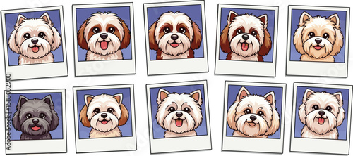 Collection of dog portraits displayed in polaroid photos. Cute puppy faces, cartoon illustrations, pets, animals, memories, photography.