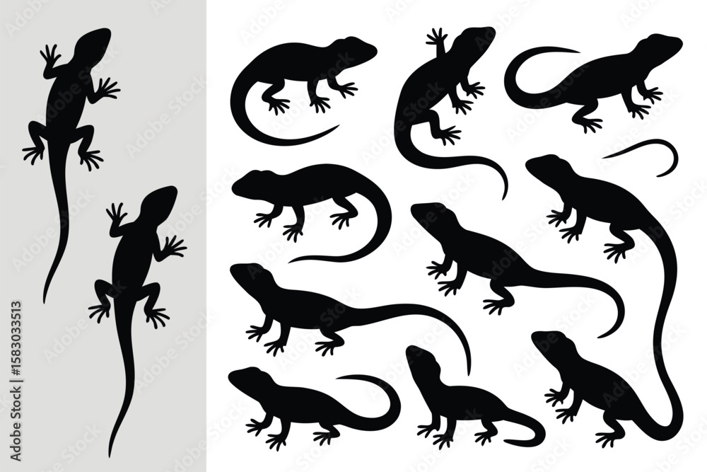 Obraz premium Black Lizard Silhouettes Assorted Reptile Graphics on White and Grey Backgrounds, Crawling Animals