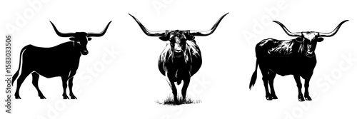 This image depicts a black silhouette of longhorn cattle, also referred to as a Texas longhorn or livestock, characterized by its distinctive long horns, presented in a modern clipart illustration