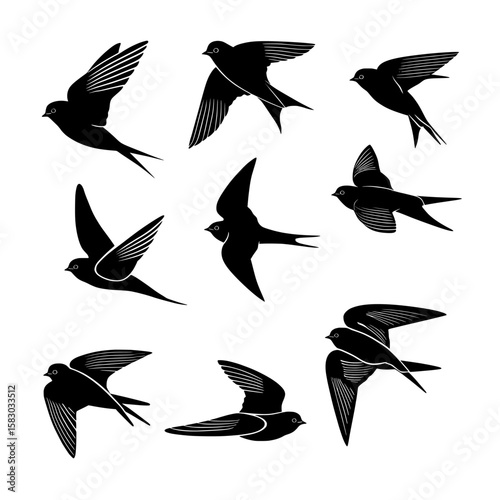 A design featuring the silhouette of swallows in flight is paired with a modern bundle concept, set against a clean white background, showcasing wild swallows and beautiful birds in various poses