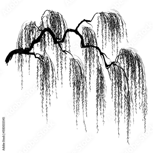 A modern clipart illustration, this image showcases a weeping willow's slender branches and lacy foliage in a beautiful black silhouette