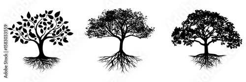 A detailed tree's silhouette is set against a white background, showcasing growth and robust roots