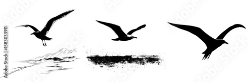 This image shows a seagull in mid-flight as a black silhouette, highlighting its expansive wings and fluid movement against a coastal backdrop, presented in a modern clipart style