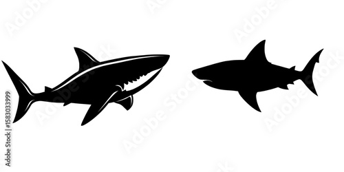 A large shark's dark shape is depicted in a contemporary illustration set against a white backdrop