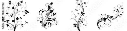 This image depicts a black and white floral vine silhouette featuring elegant swirls and leaves, often referred to as a botanical flourish or arabesque, in a modern clipart illustration design