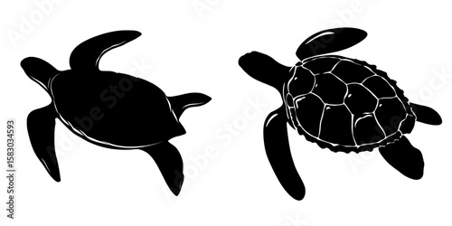 Against a white background, a sea turtle is shown swimming in the form of a black silhouette