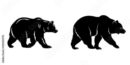 Modern illustration of a black bear walking, a wildlife animal graphic design element isolated on a white background