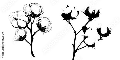 A modern black and white clipart of a cotton plant, cotton flower, or cotton boll is presented in this image
