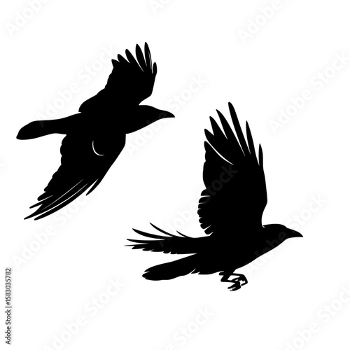 Modern illustration featuring two ravens in flight, set against a white background in isolation