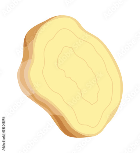 Ginger root. Aromatic herbal spice. Food ingredient, natural herb plant, sliced. Fresh and raw vegetable in cartoon flat style. Vector illustration isolated on white background