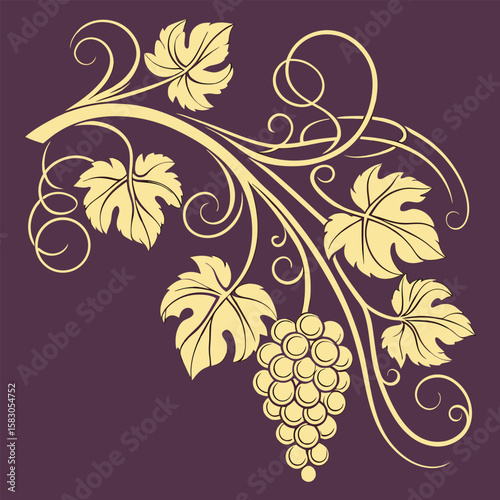 Elegant grape vine design with leaves and grapes in a timeless and artistic vector illustration