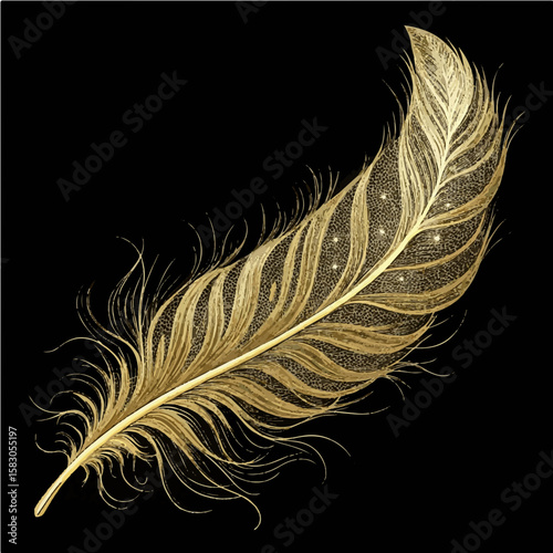feather on black background