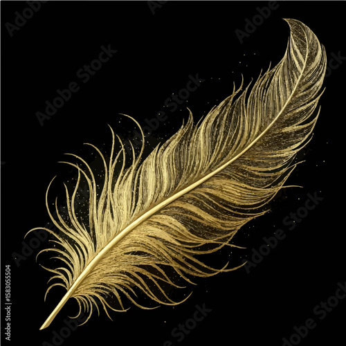 feather on black background