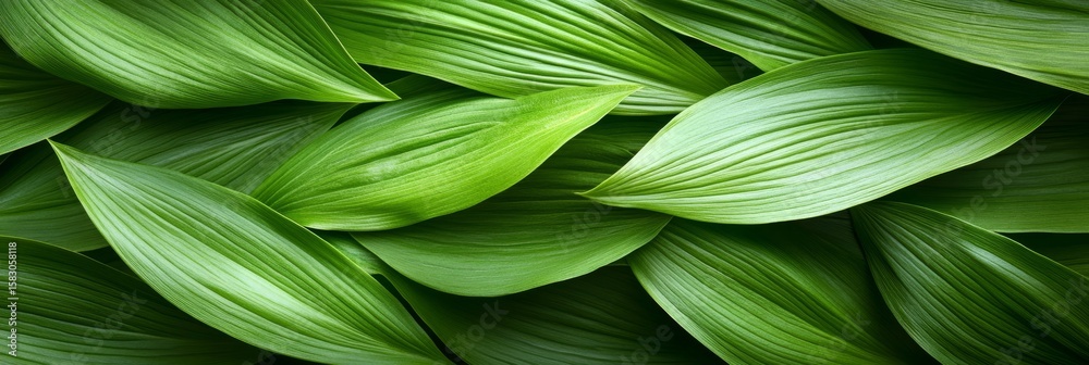 Lush Greenery in a Vibrant Leafy Backdrop, Showcasing Organic Textures and Natural Freshness. Lush Greenery in a Vibrant Leafy Backdrop, Showcasing Organic Textures and Natural Freshness.