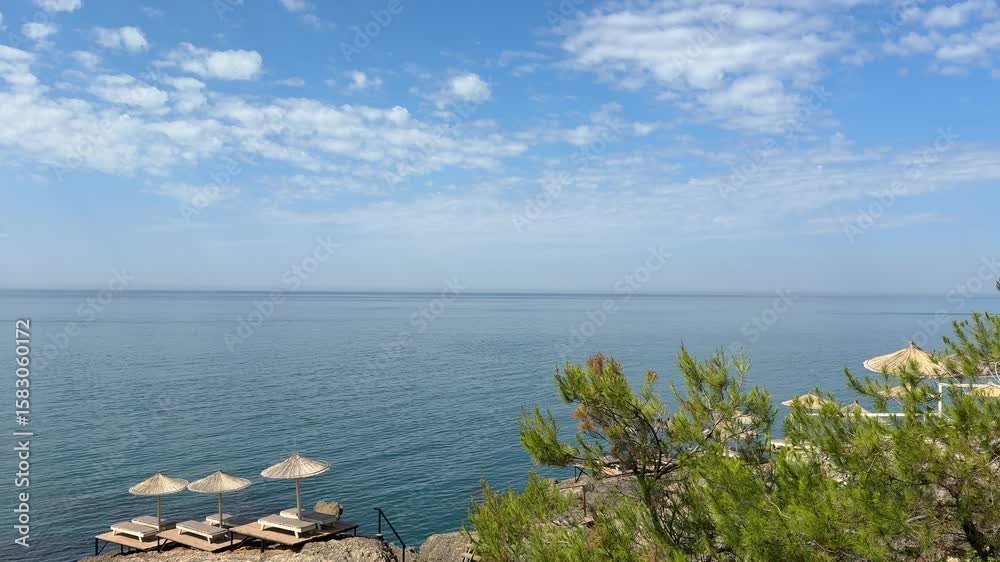 Blue sea and beach with pine trees in the summer.
