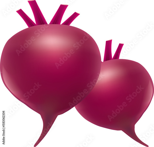 group of two fresh beetroots isolated on white. Vector illustration