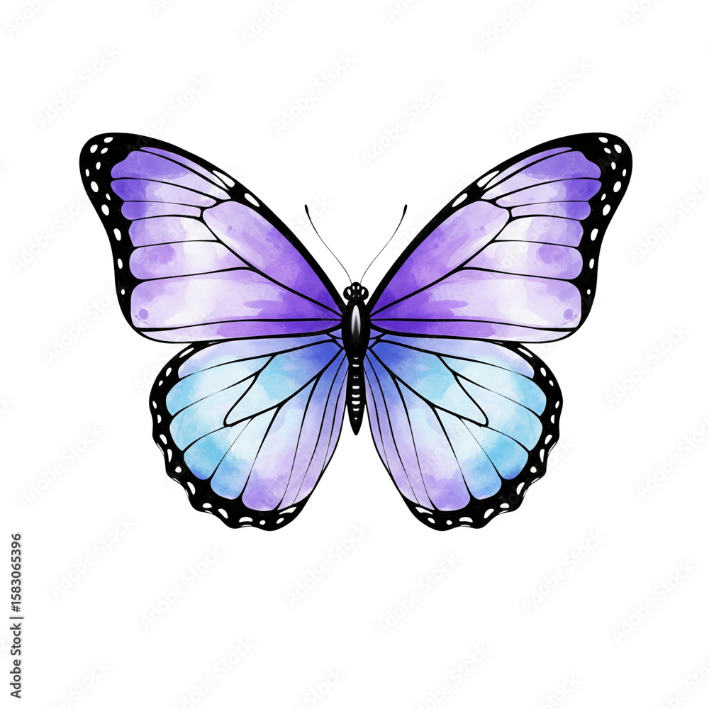 Fototapeta premium Beautiful watercolor butterfly with purple and blue wings on a white background