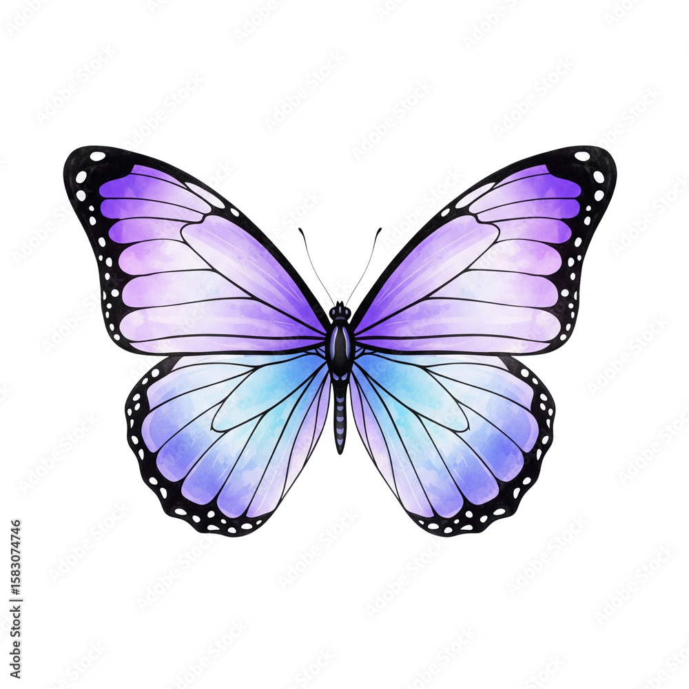 Fototapeta premium Beautiful watercolor butterfly with purple and blue wings on a white background