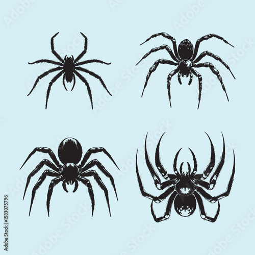 vector silhouettes of a group of spiders